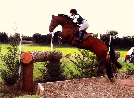horse, Roger on the xc at dauntsey, uk